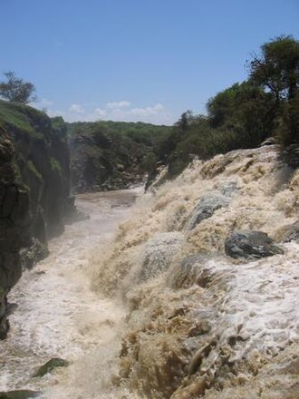 Lower Valley of the Awash