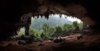 The Archaeological Heritage of Niah National Park’s Caves Complex