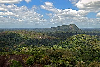 Central Suriname Nature Reserve