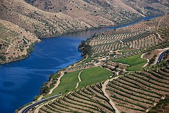 Alto Douro Wine Region
