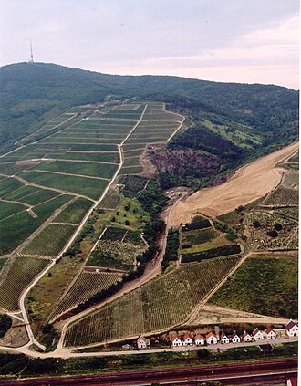 Tokaj Wine Region Historic Cultural Landscape