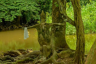 Osun-Osogbo Sacred Grove