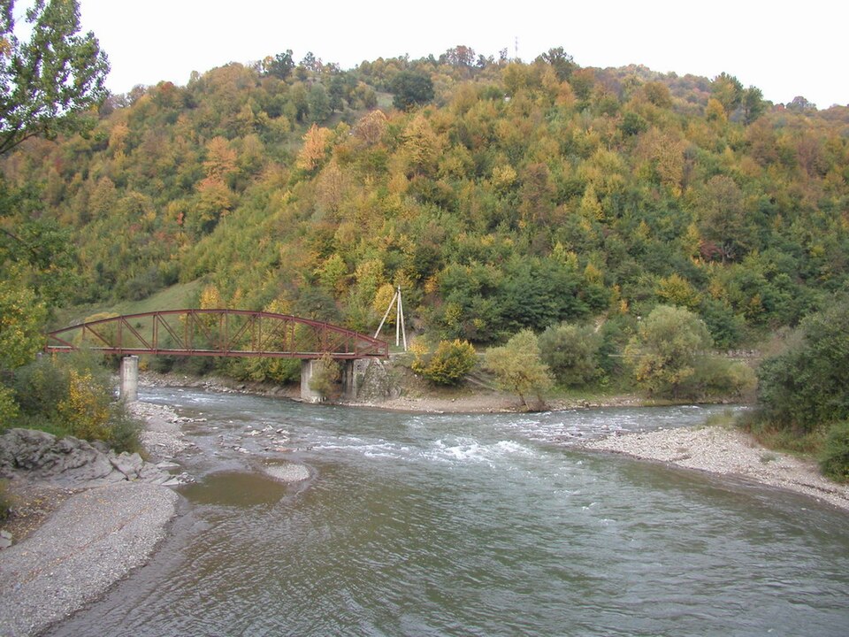 Ancient and Primeval Beech Forests of the Carpathians and Other Regions of Europe