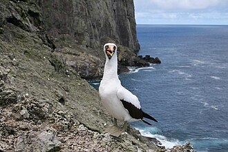 Malpelo Fauna and Flora Sanctuary