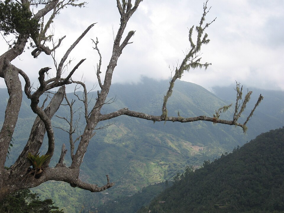 Blue and John Crow Mountains