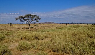 Serengeti National Park