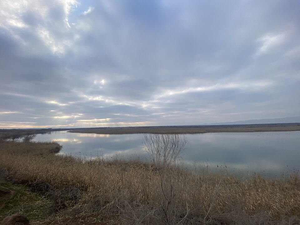 Tugay forests of the Tigrovaya Balka Nature Reserve