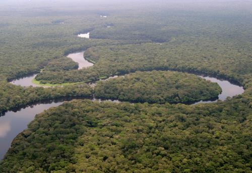 Salonga National Park