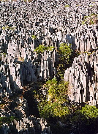 Andrefana Dry Forests