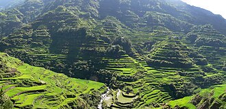 Rice Terraces of the Philippine Cordilleras