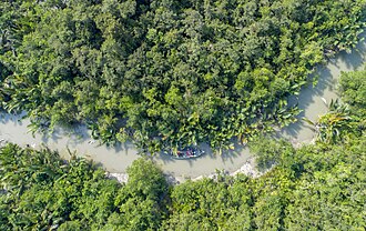 The Sundarbans