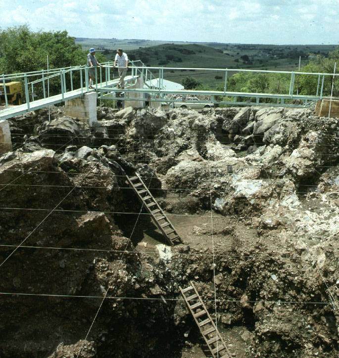 Fossil Hominid Sites of South Africa