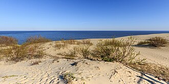 Curonian Spit